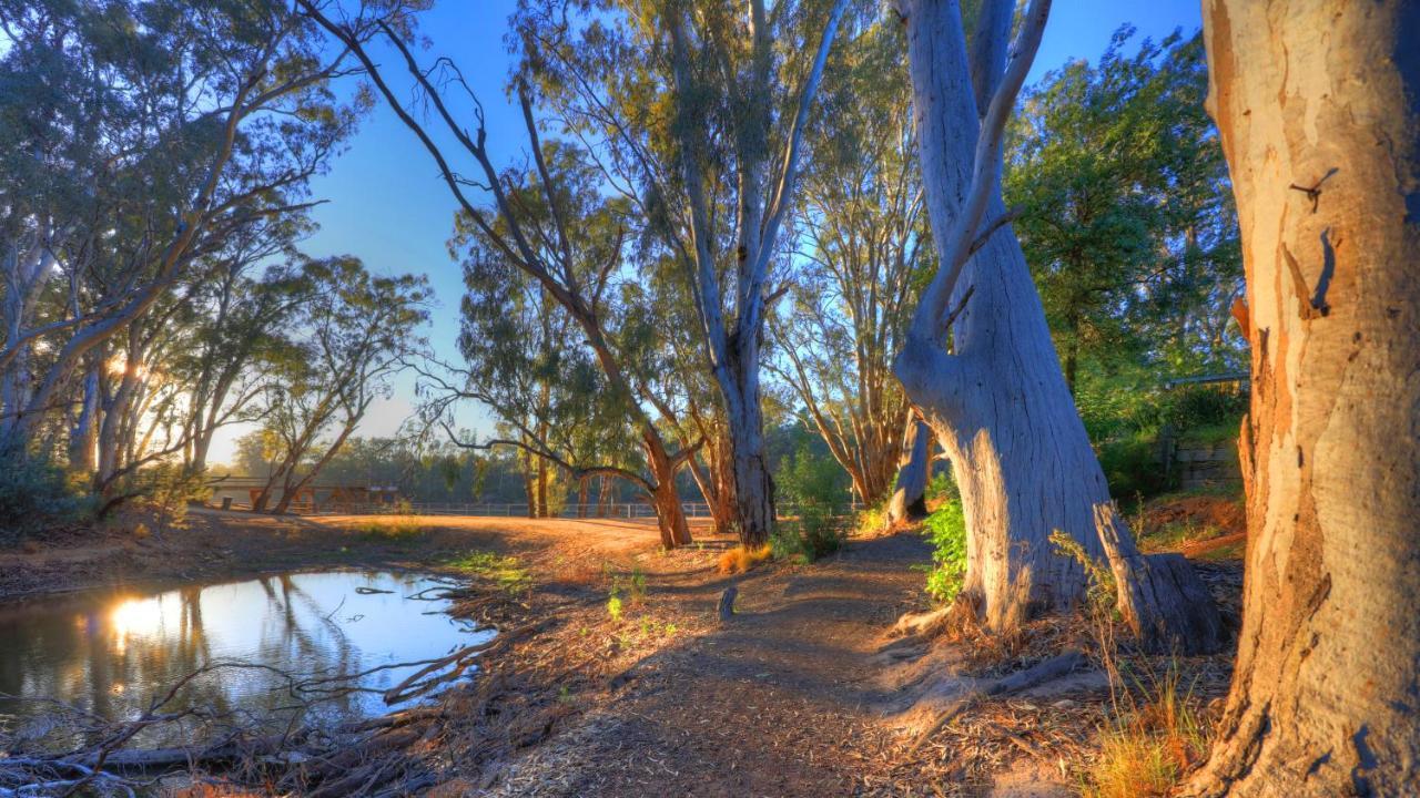 Moama Riverside Holiday Park Luaran gambar